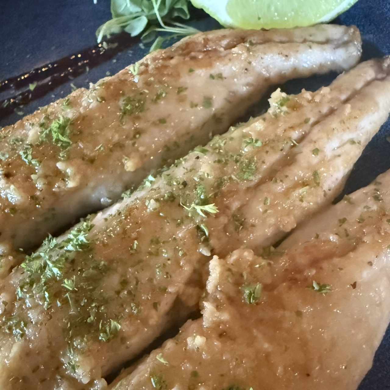 Corvina al Criolla / Ajillo / Finas Hiervas