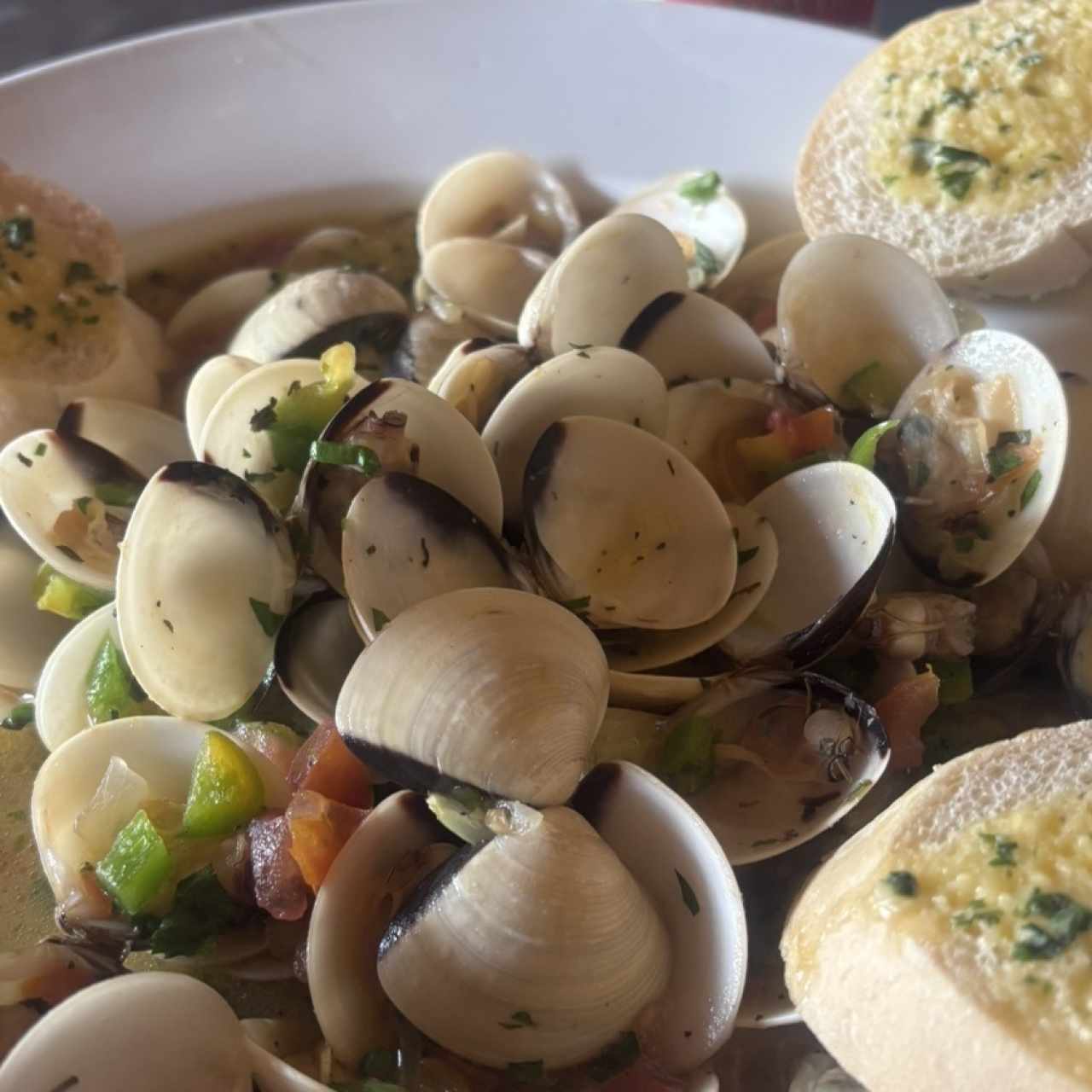 Almejas de la Casa
