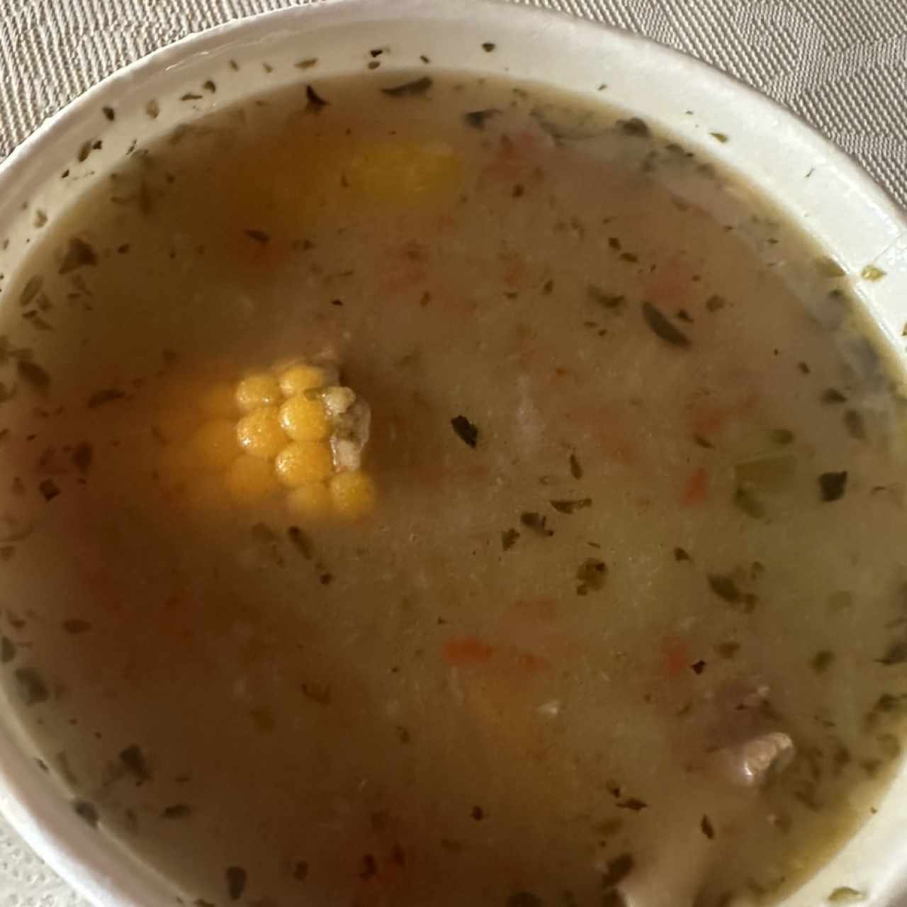 Sopa de res 