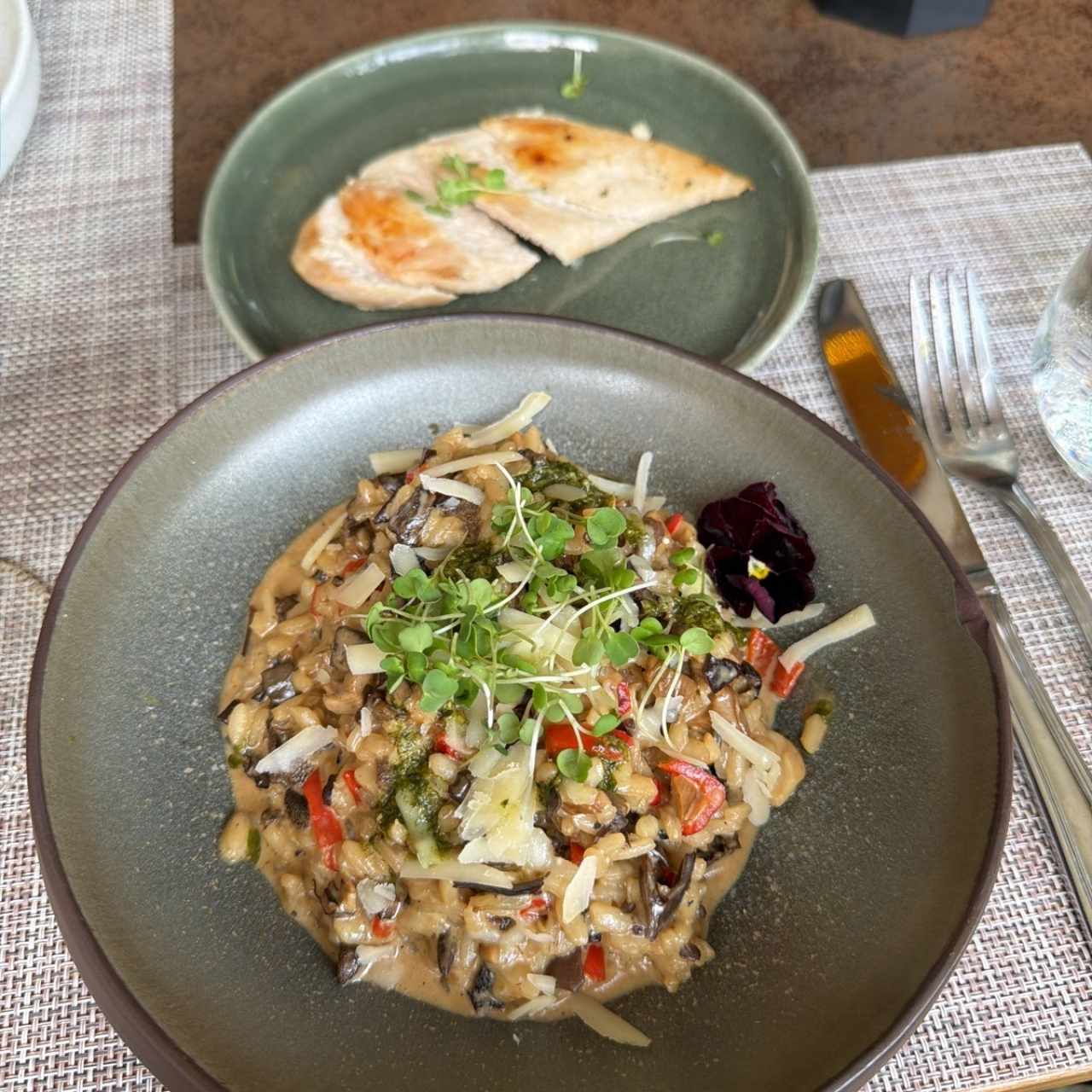 Rissoto Terral de Quinoa y Setas