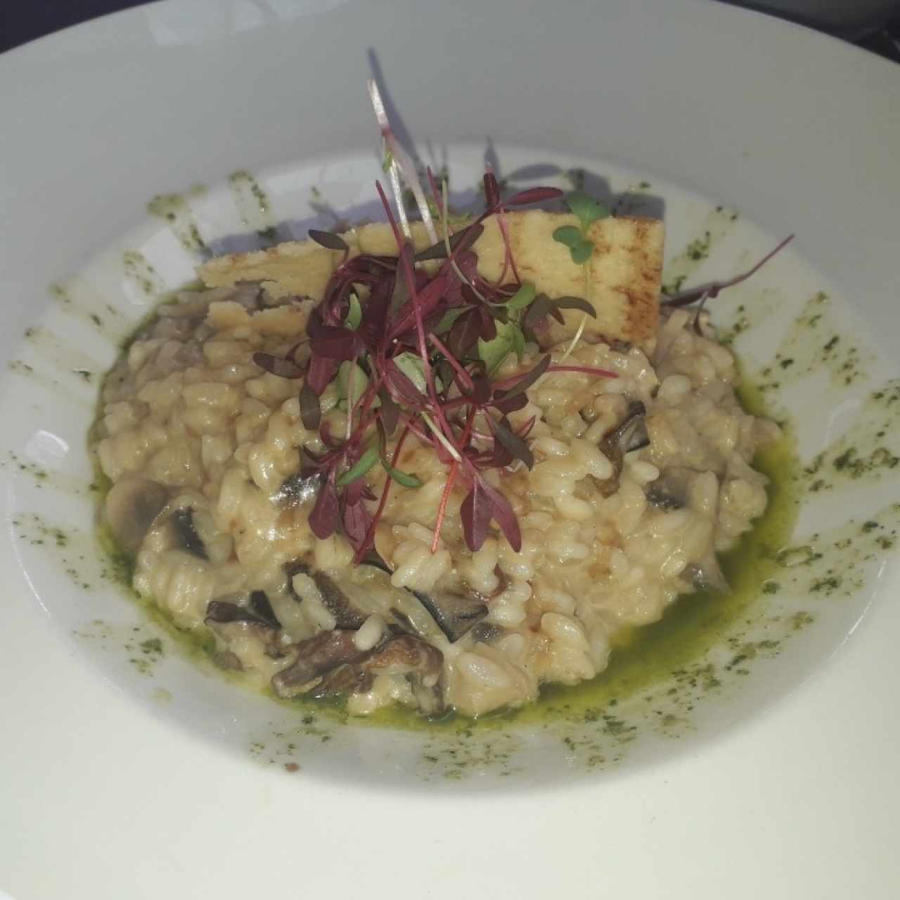 Risotto de Setas Salvajes