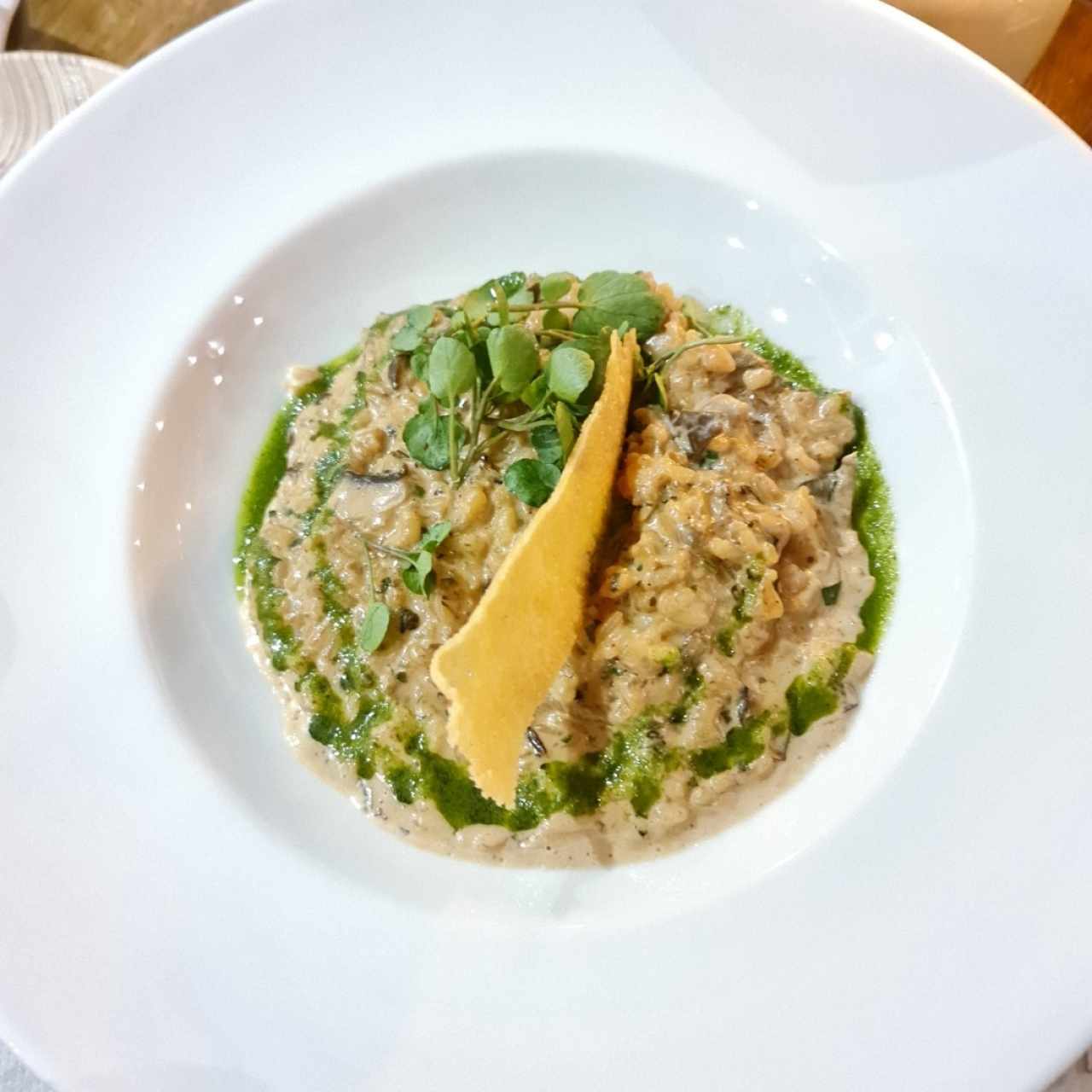 Rissotto de hongos silvestres 