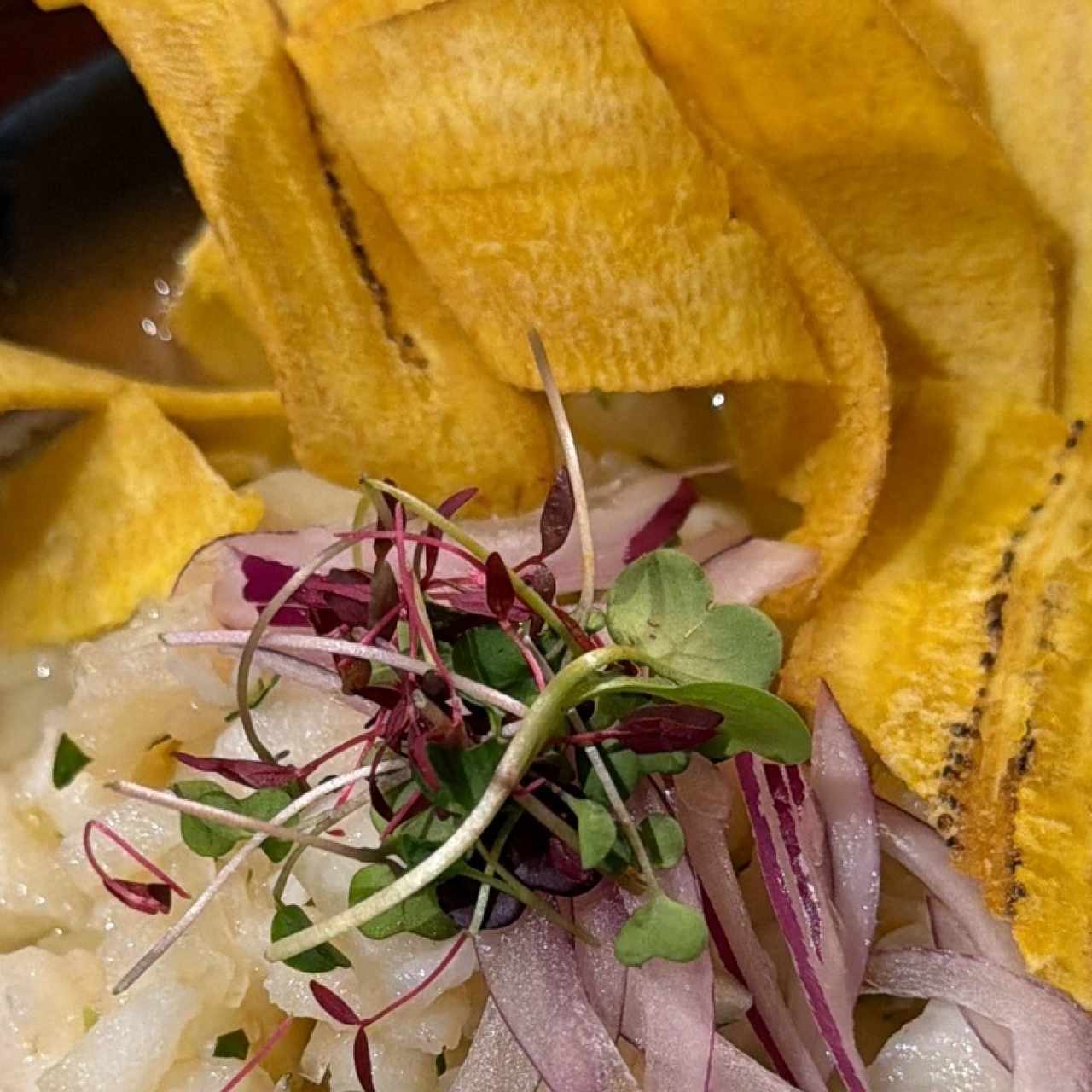 ENTRADAS - CEVICHE TRADICIONAL