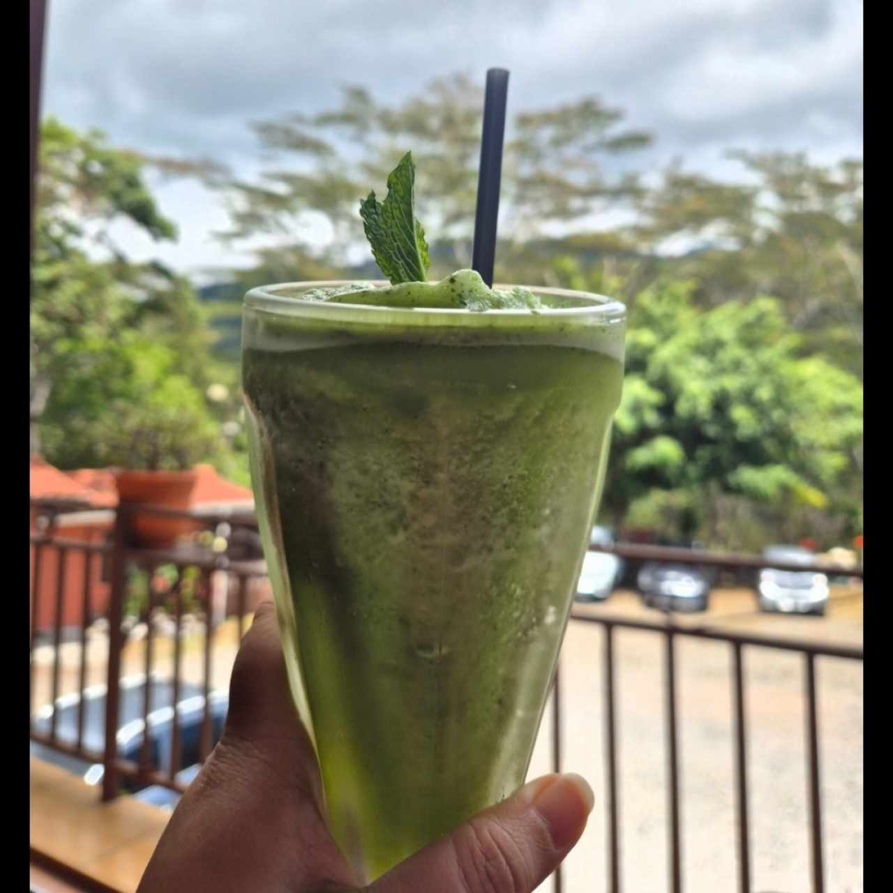 Bebidas - Limonada de hierbabuena