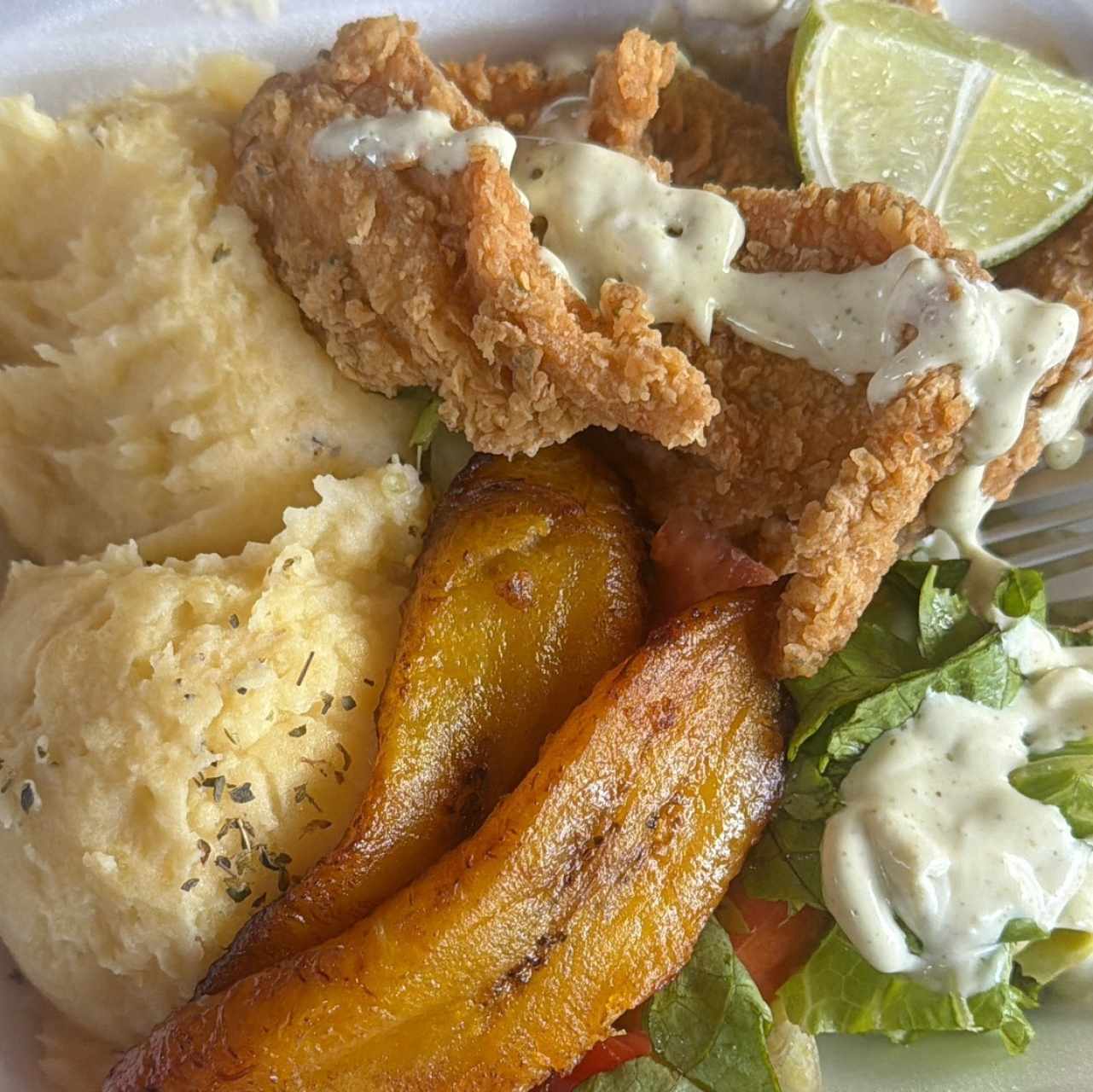 Comida criolla - plato fuerte 