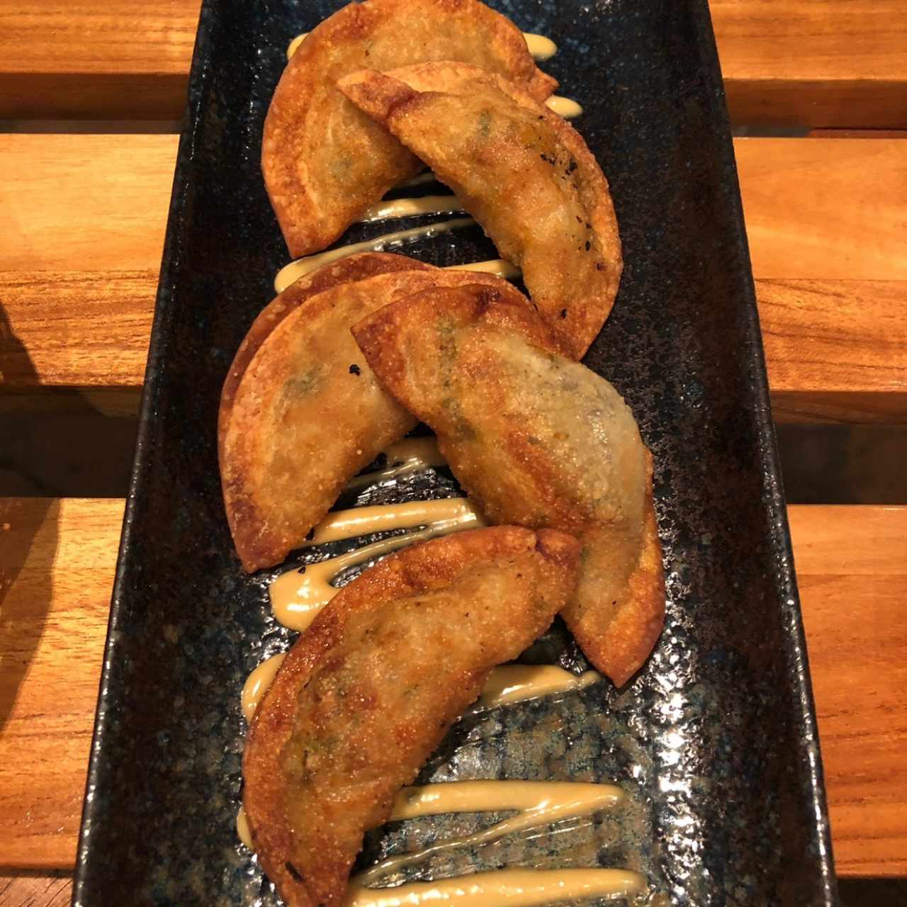 Gyosas De Tasajo