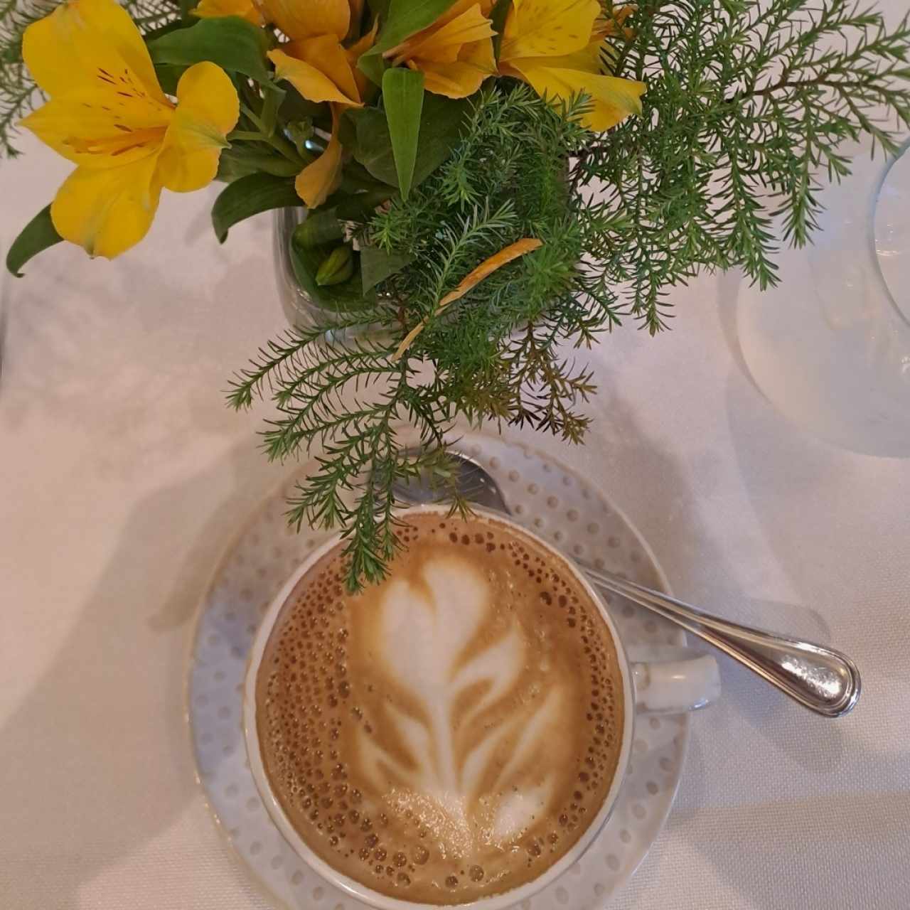 Capuchino Panamonte