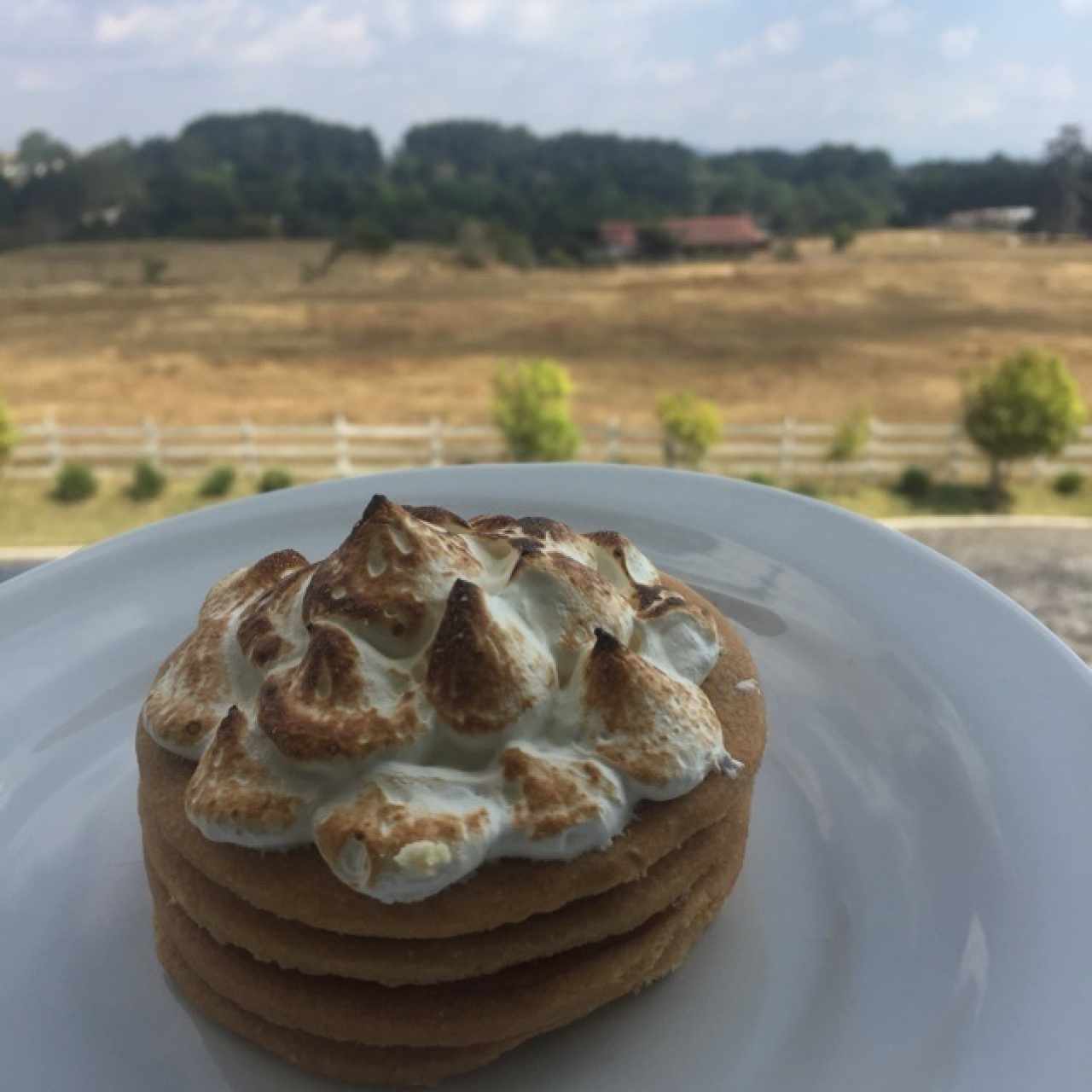 torta chilena