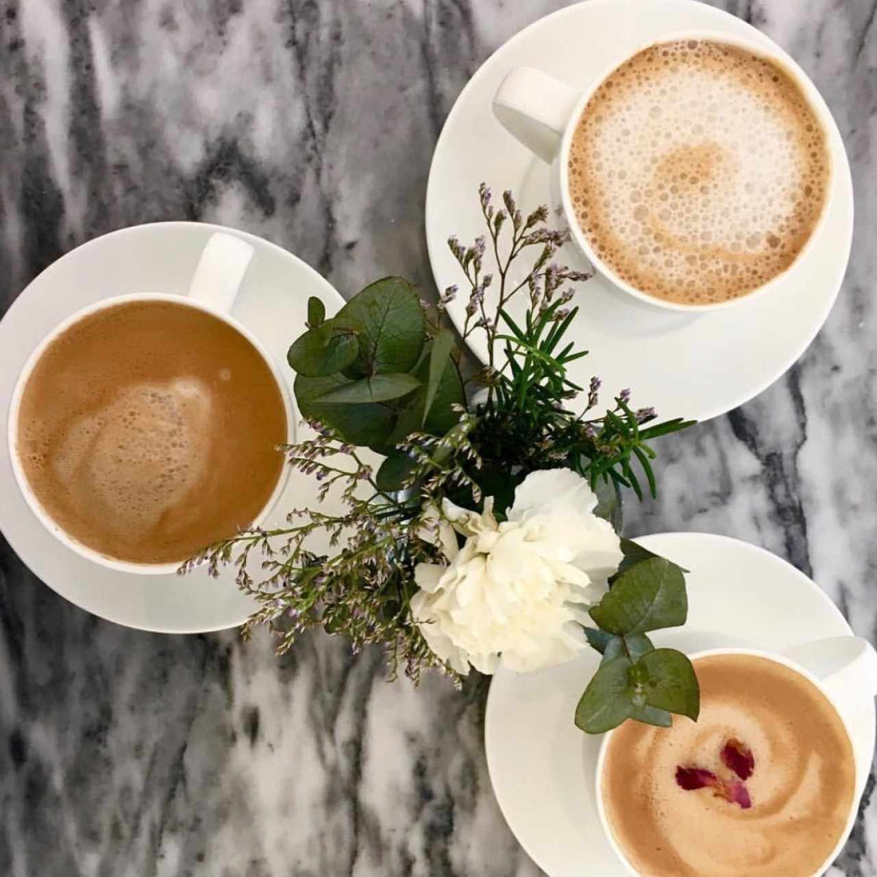 latte