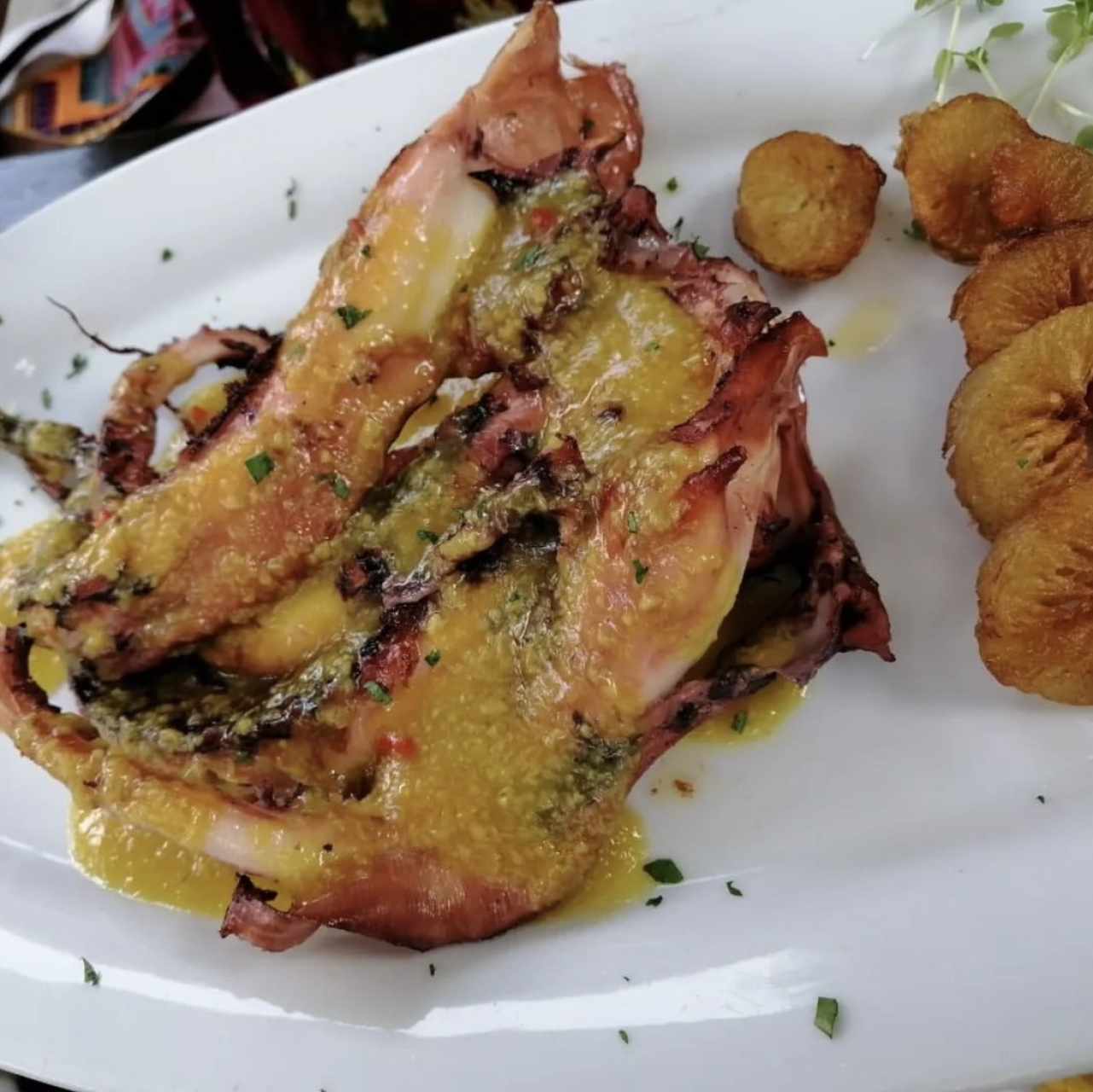 Pulpo 