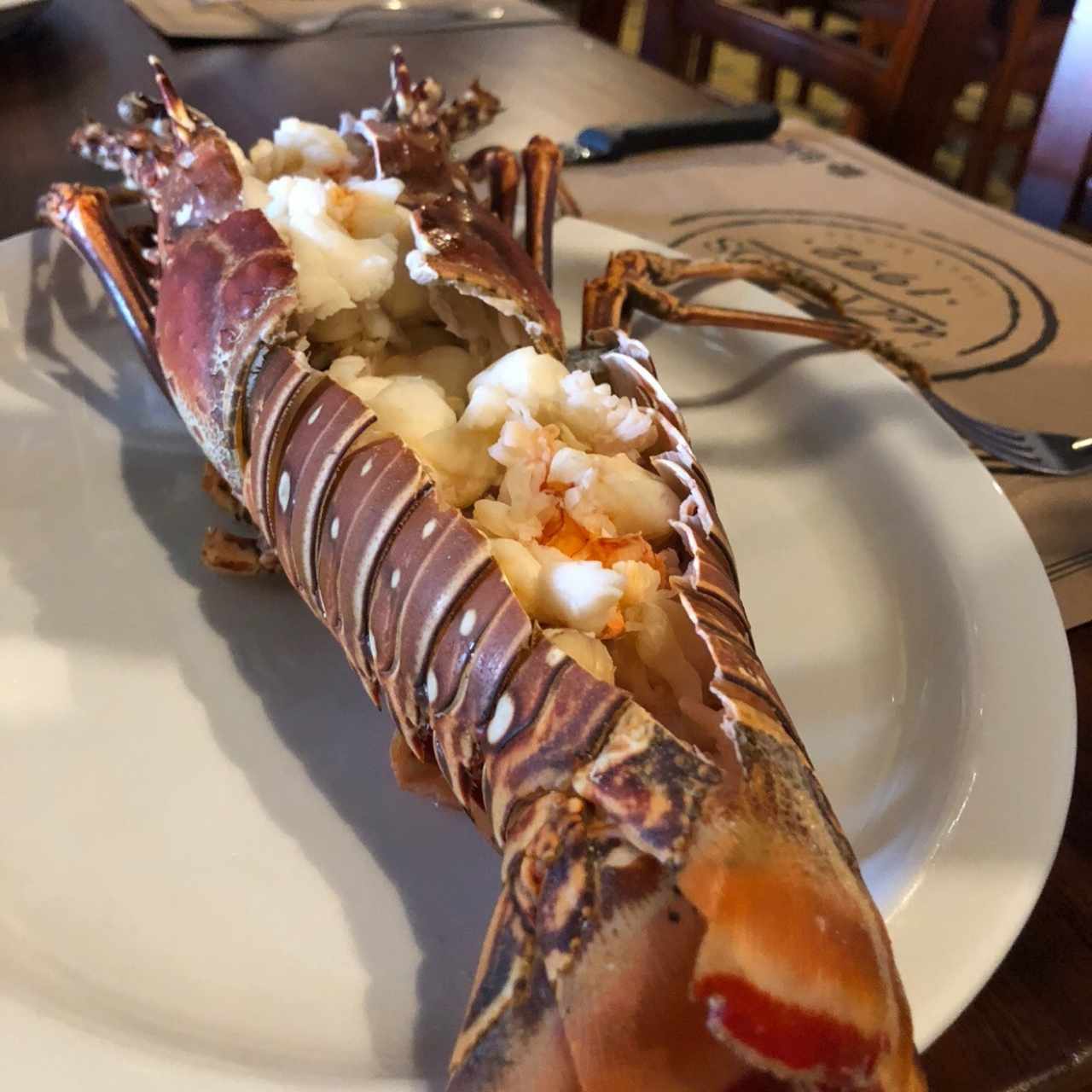 langosta