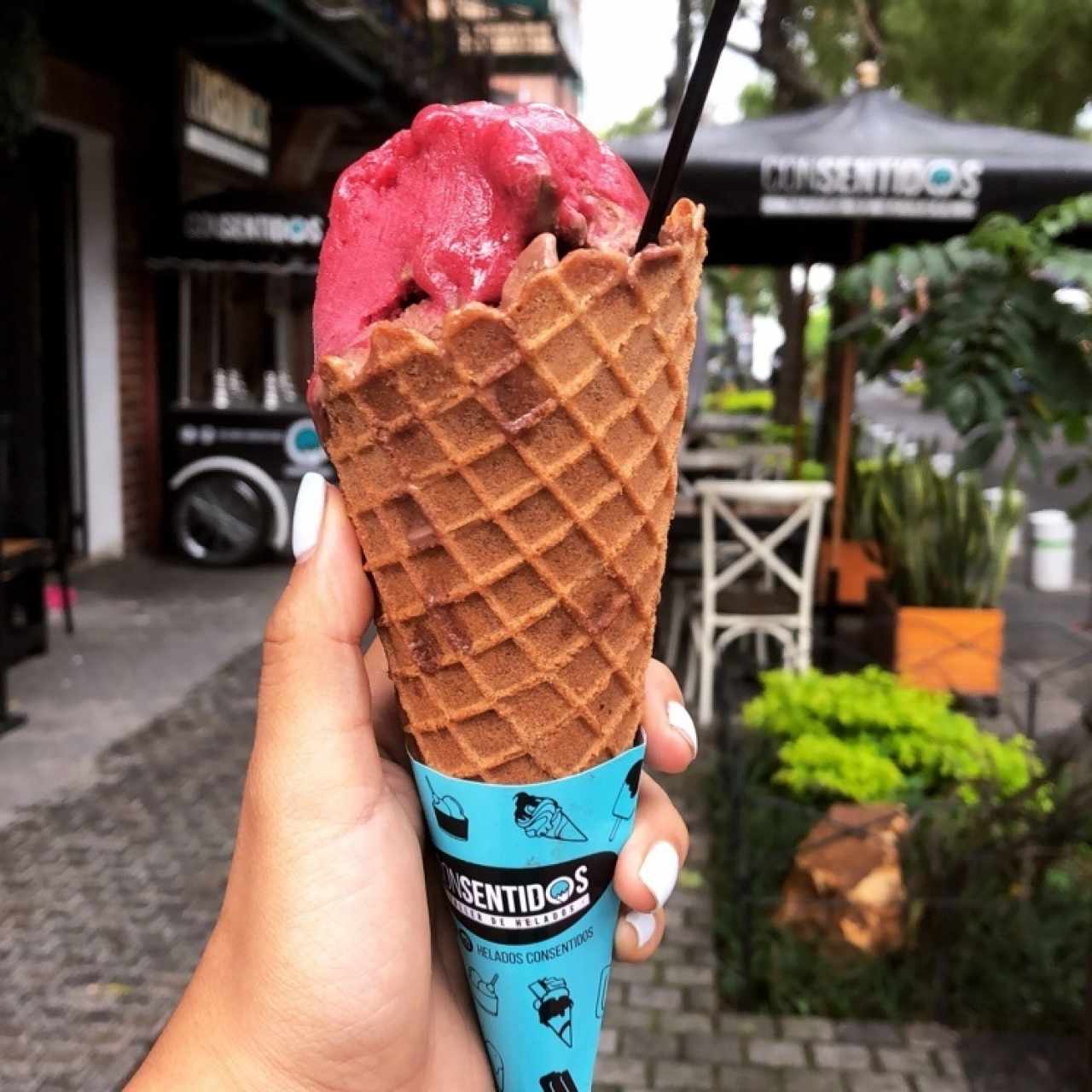 nos regalaron helado de selva negra con fresa