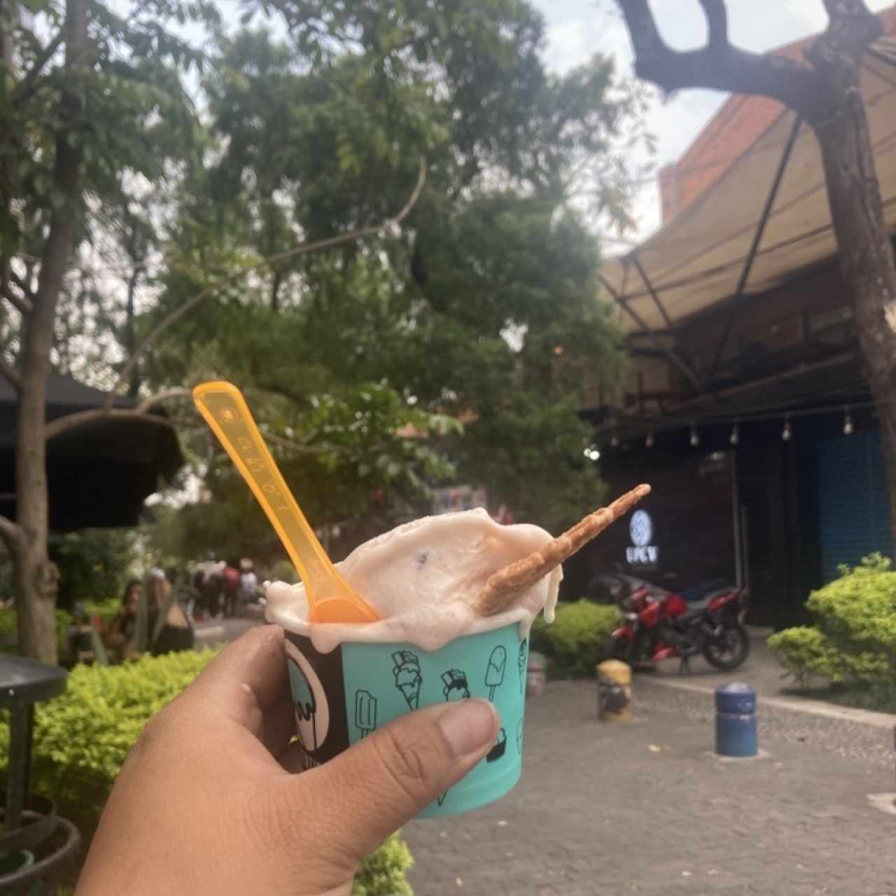 Helado cheescake/pol