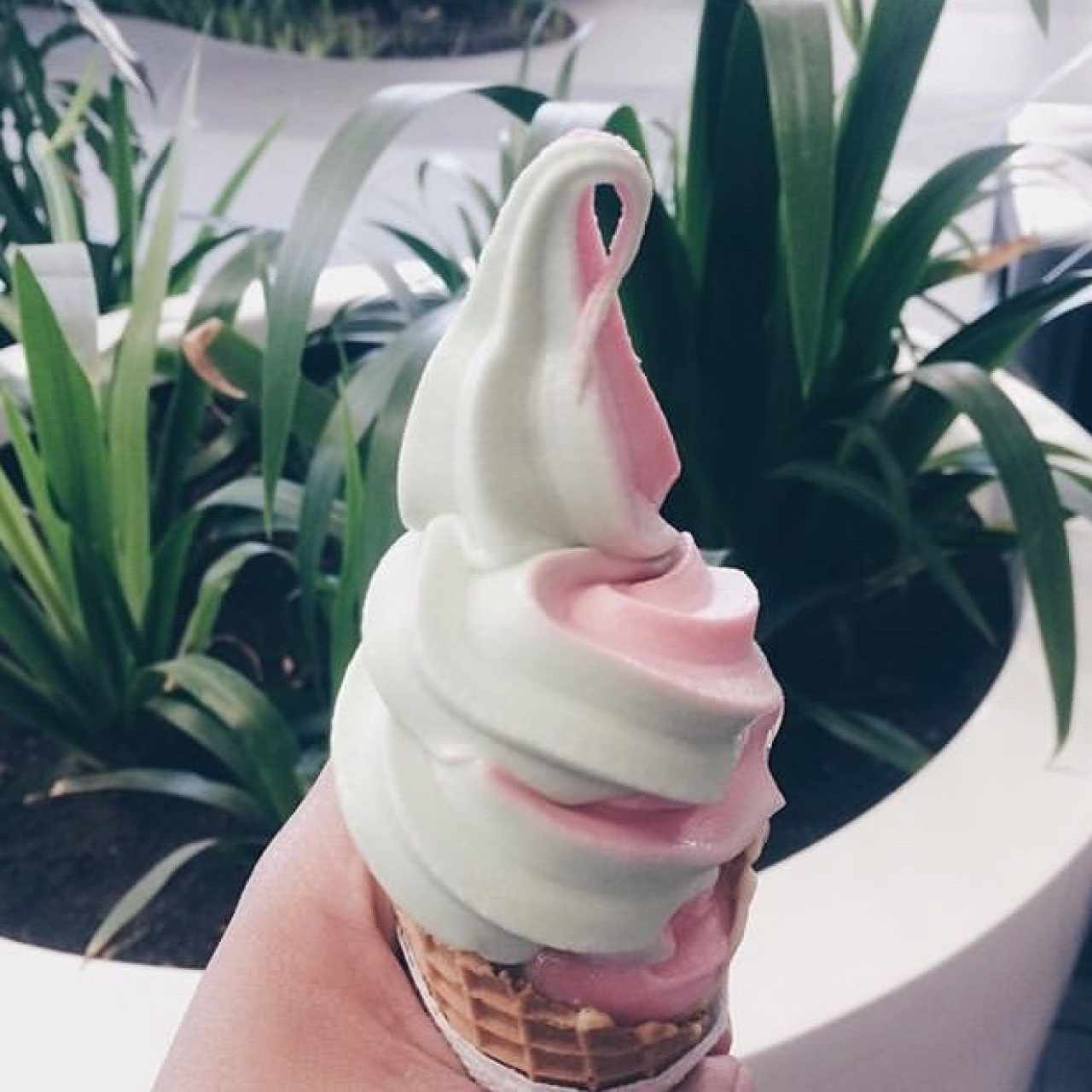 cono waffle vainilla fresa