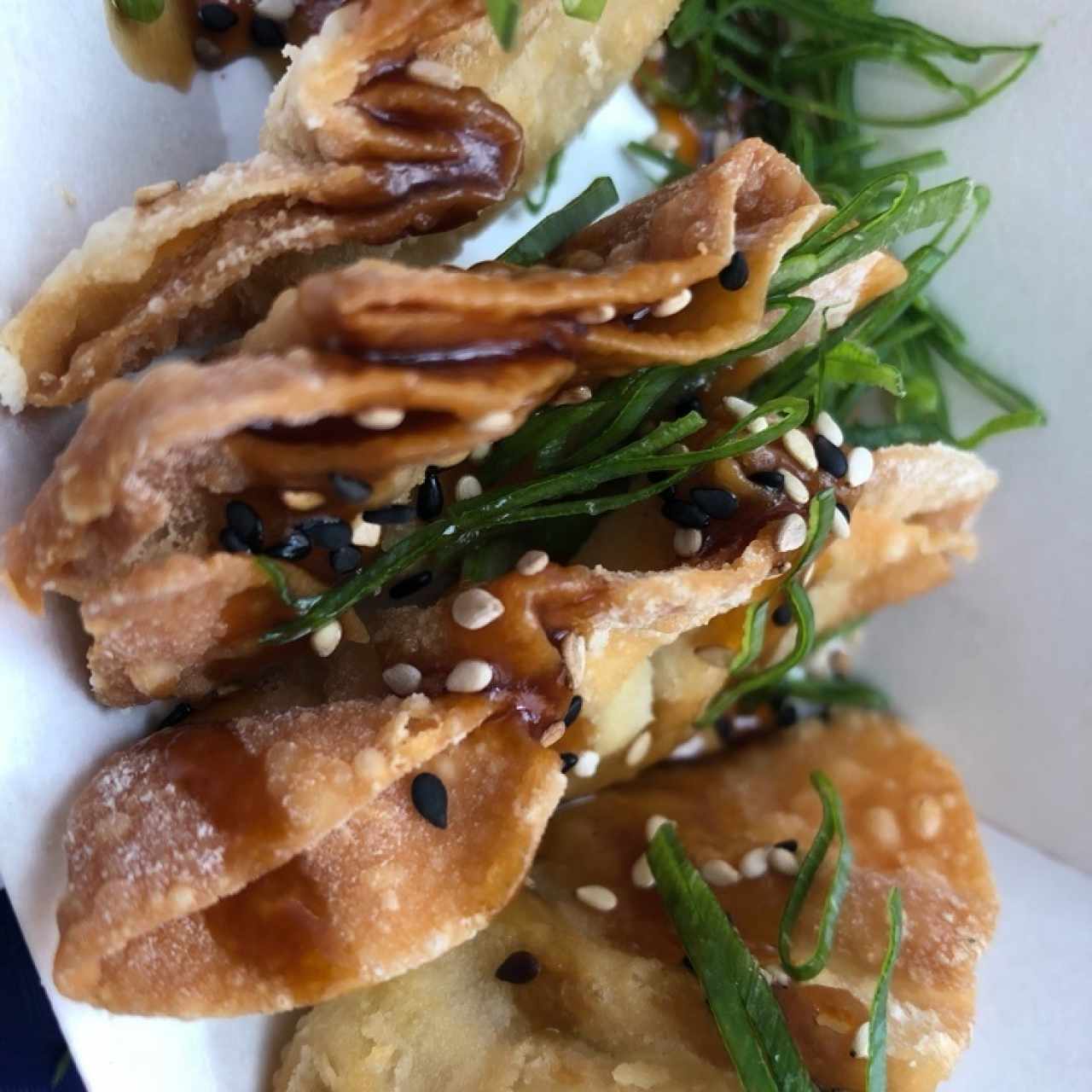 COMIDA CALIENTE - Dumplings de pollo
