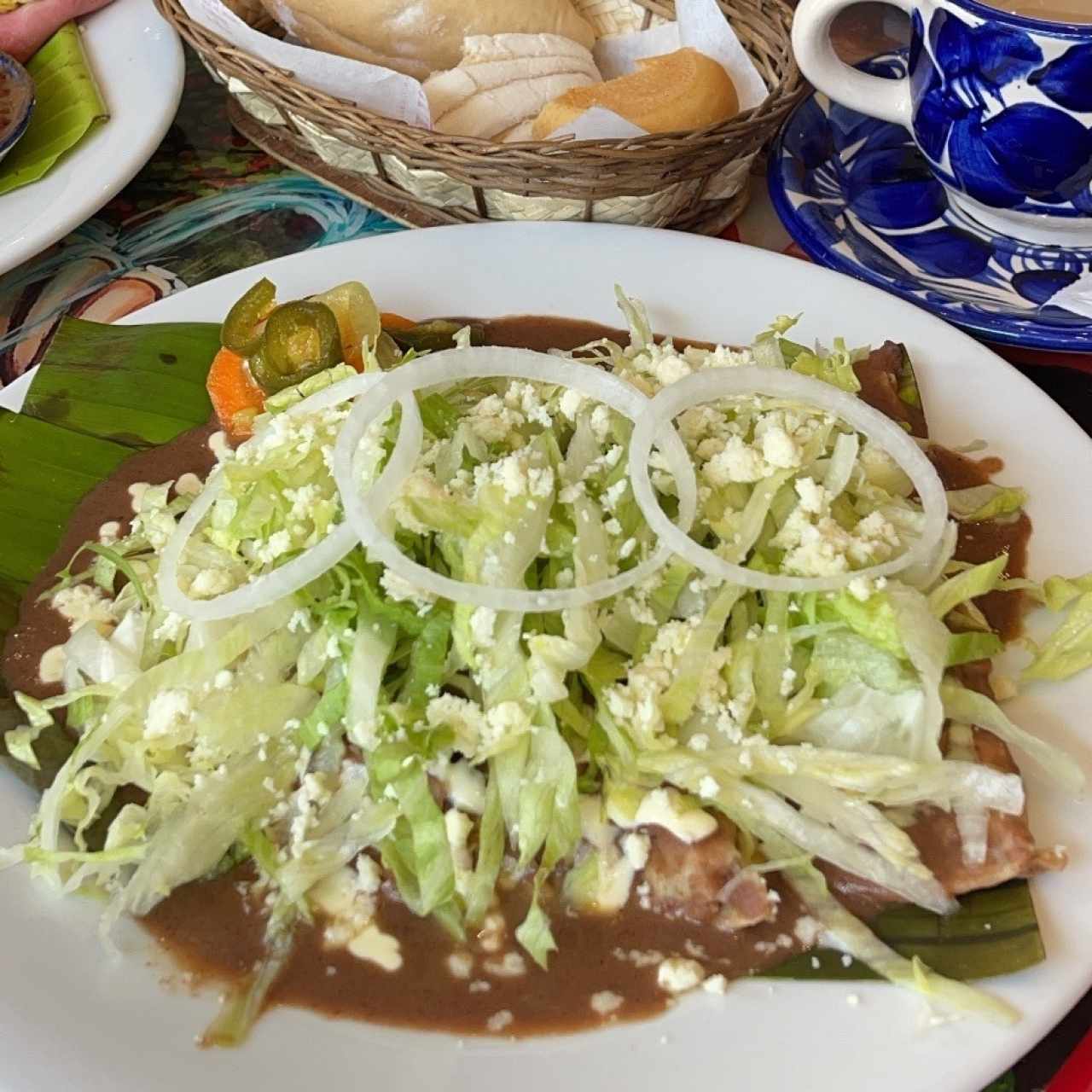 Enfrijoladas de pollo 
