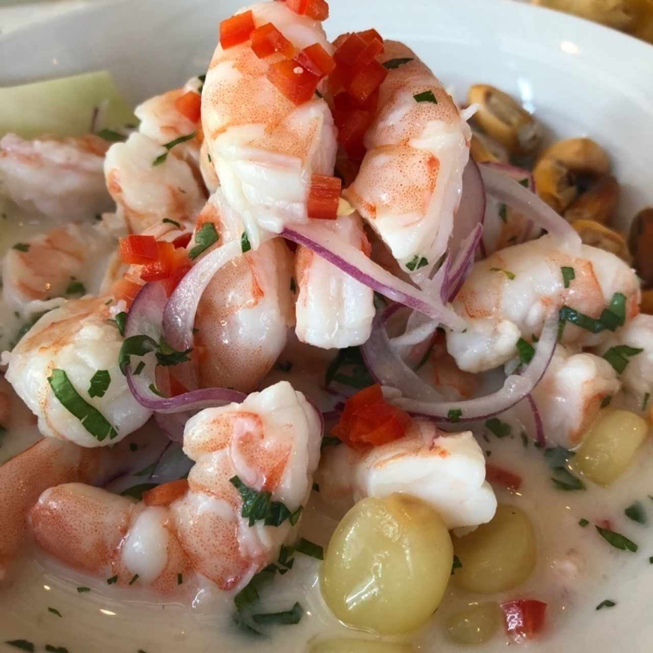 Ceviches - Ceviche de Camarón
