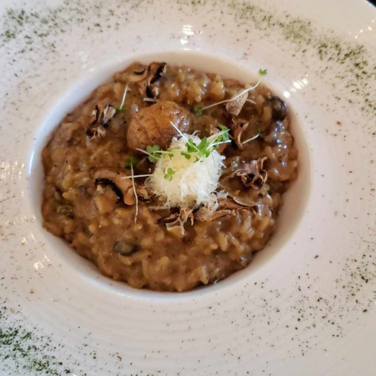 Risotto al Funghi Porcini