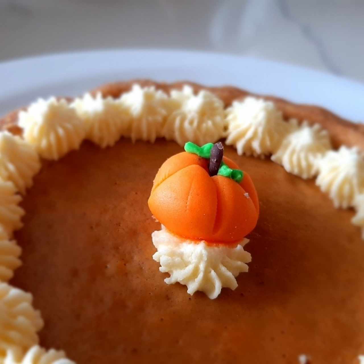 mini pumpkin pie