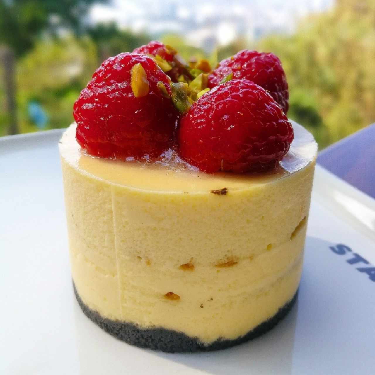 Mousse de yogurt