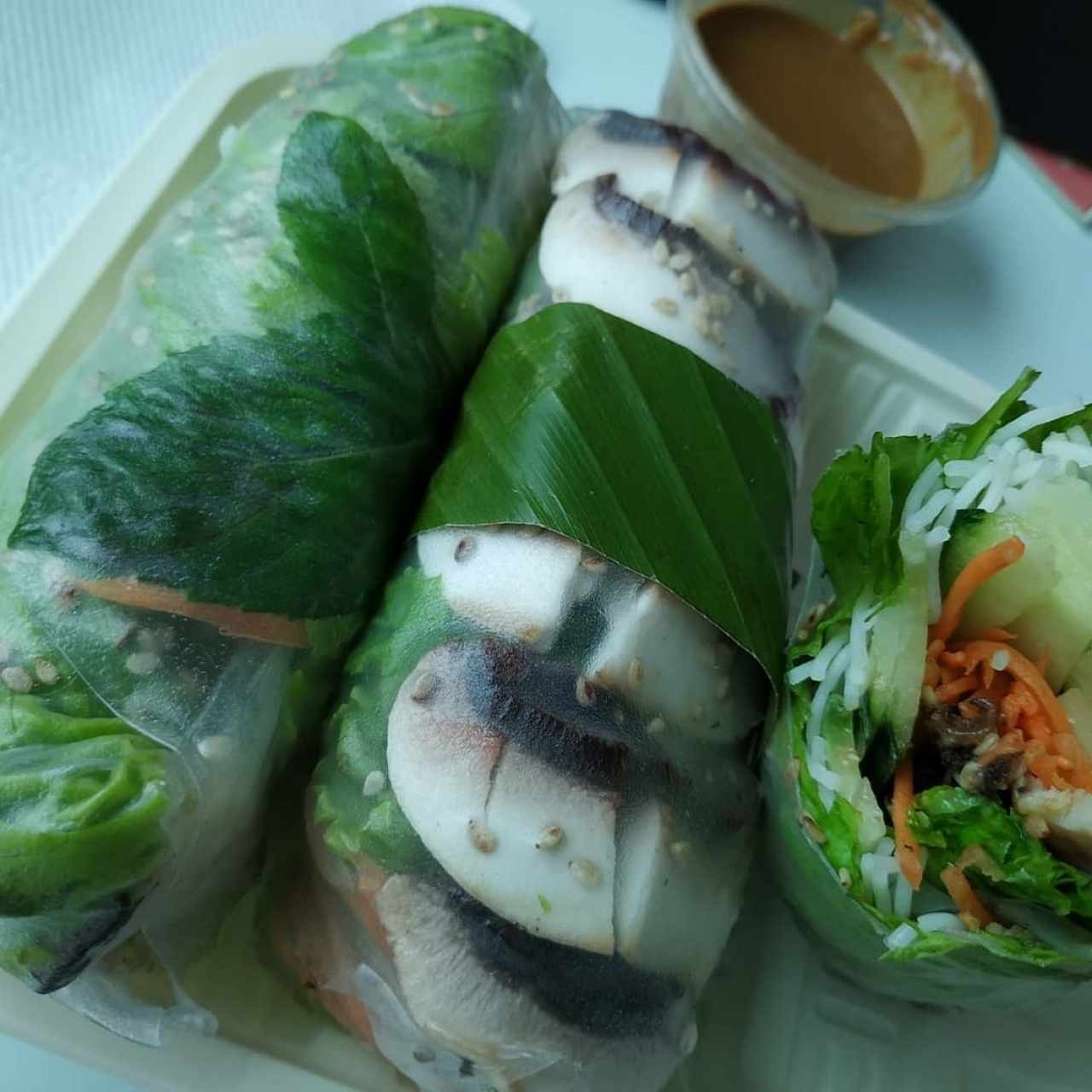 SPRING ROLLS MIXTOS