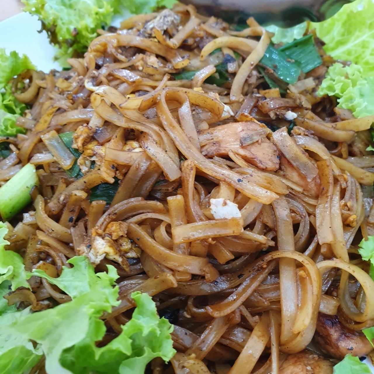 Drunken noodles Pad kee mao