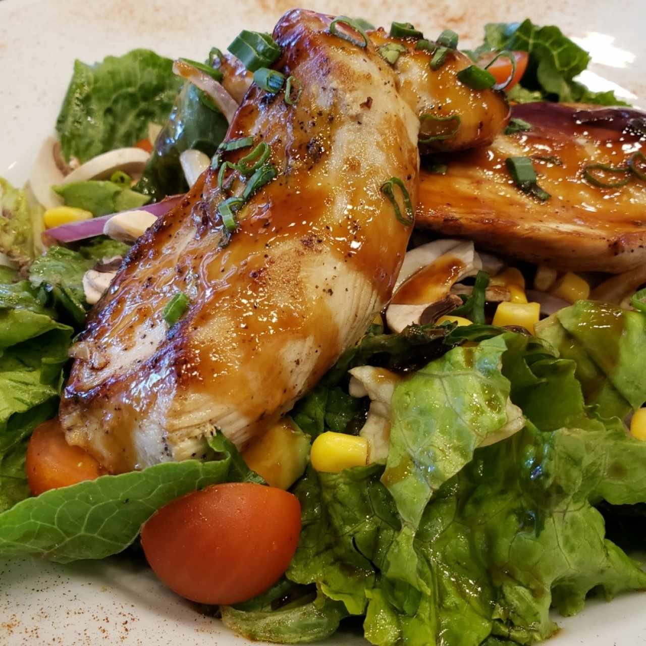 FRESCAS ENSALADAS - ENSALADA TERIYAKI