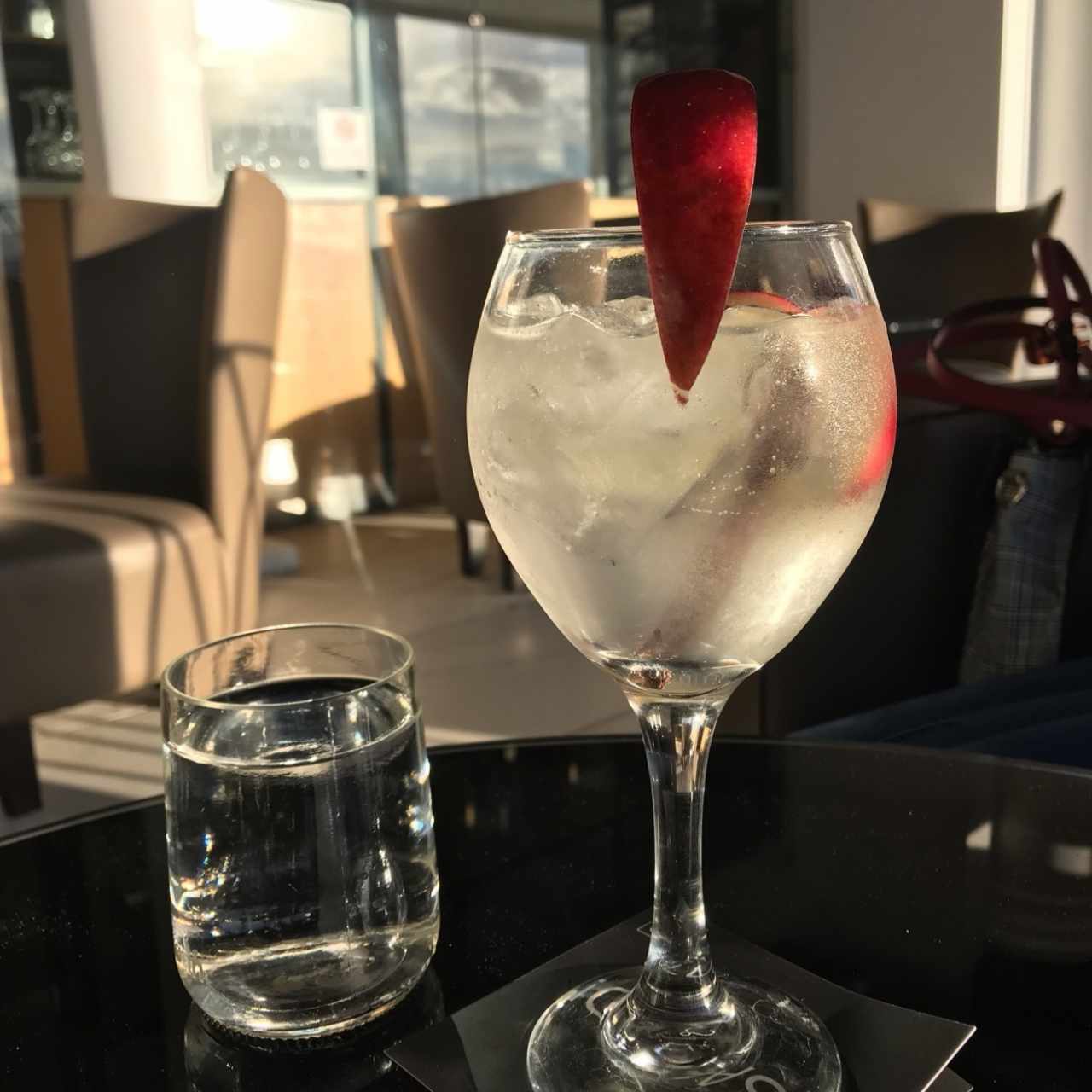 gin de manzana y canela 