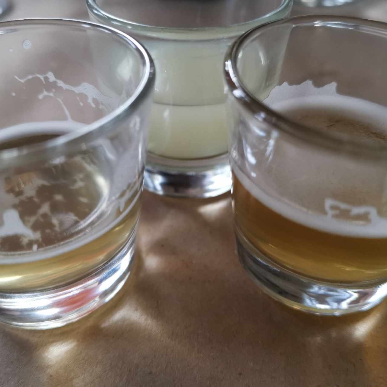 Cata de cervezas ! 