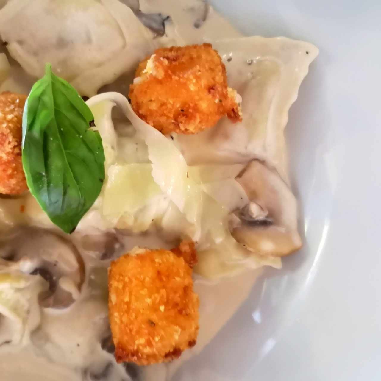 Pastas - Ravioli di ricota
