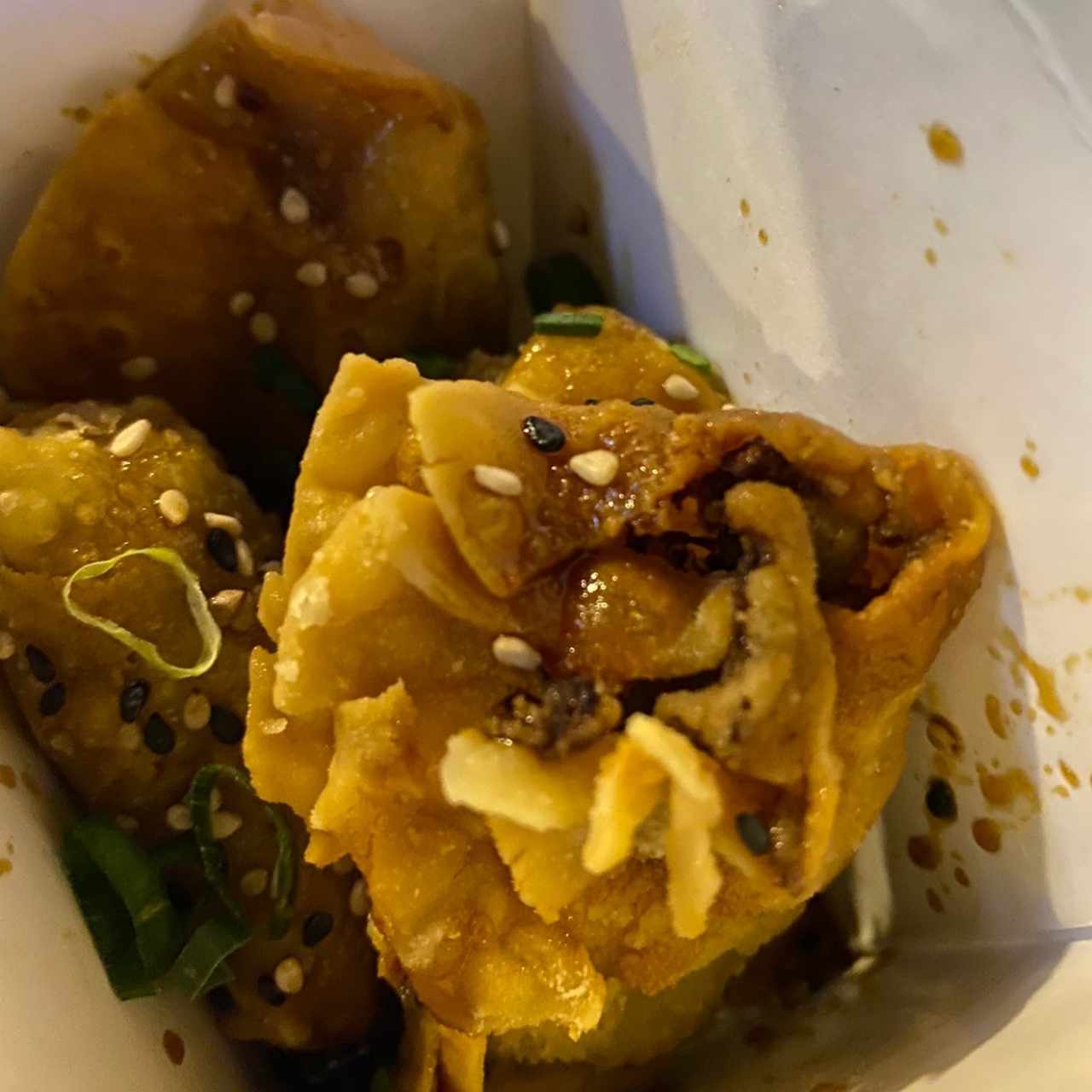 Entradas - Dumplings de Vegetales