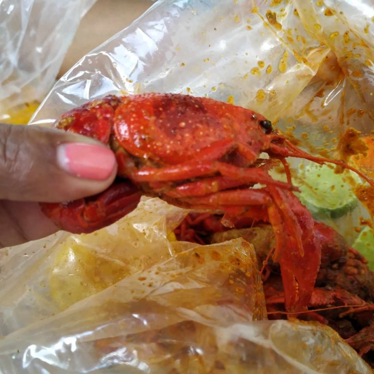 En Bolsa - Crawfish