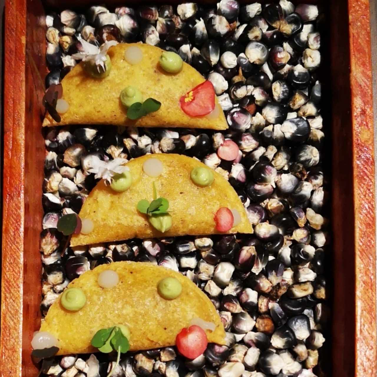 Empanadas de Maíz Pipián