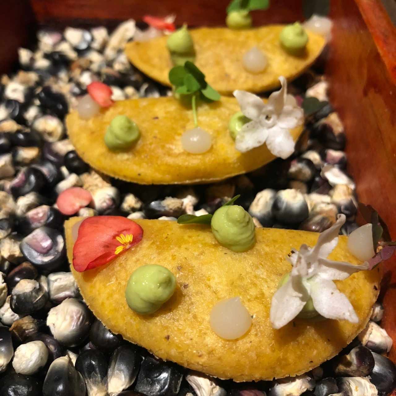 Empanadas de Maíz Pipián