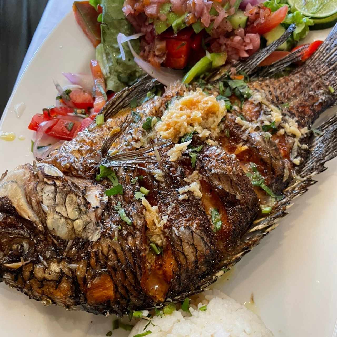 Del Mar - Mojarra