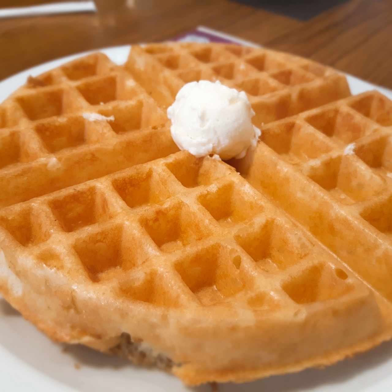 GUARNICIONES FAVORITOS - Waffle (1)