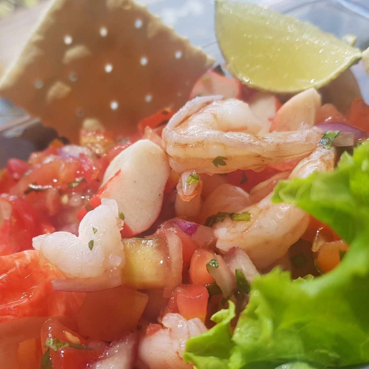 Ceviche cangejo camaron - Ceviche Normal