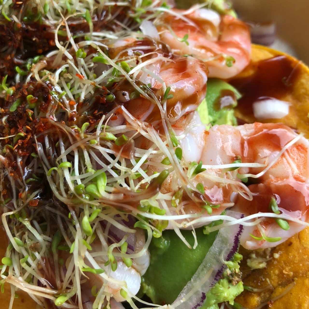 tostada de camarón