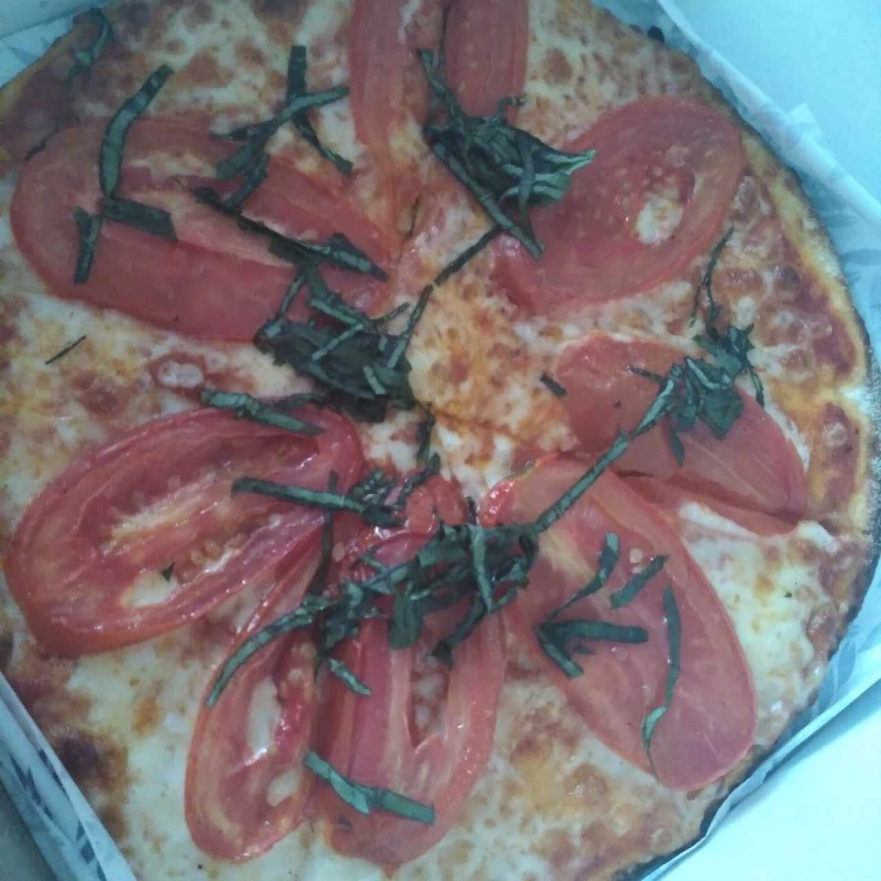 Pizza Margarita