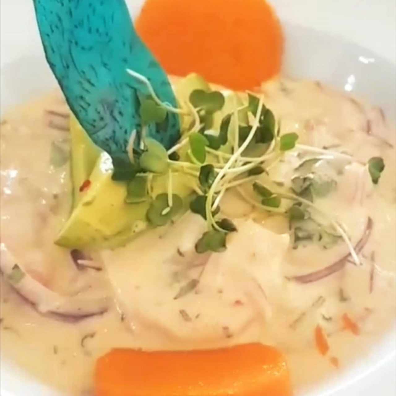 Platos Fuertes - Ceviche Peruano