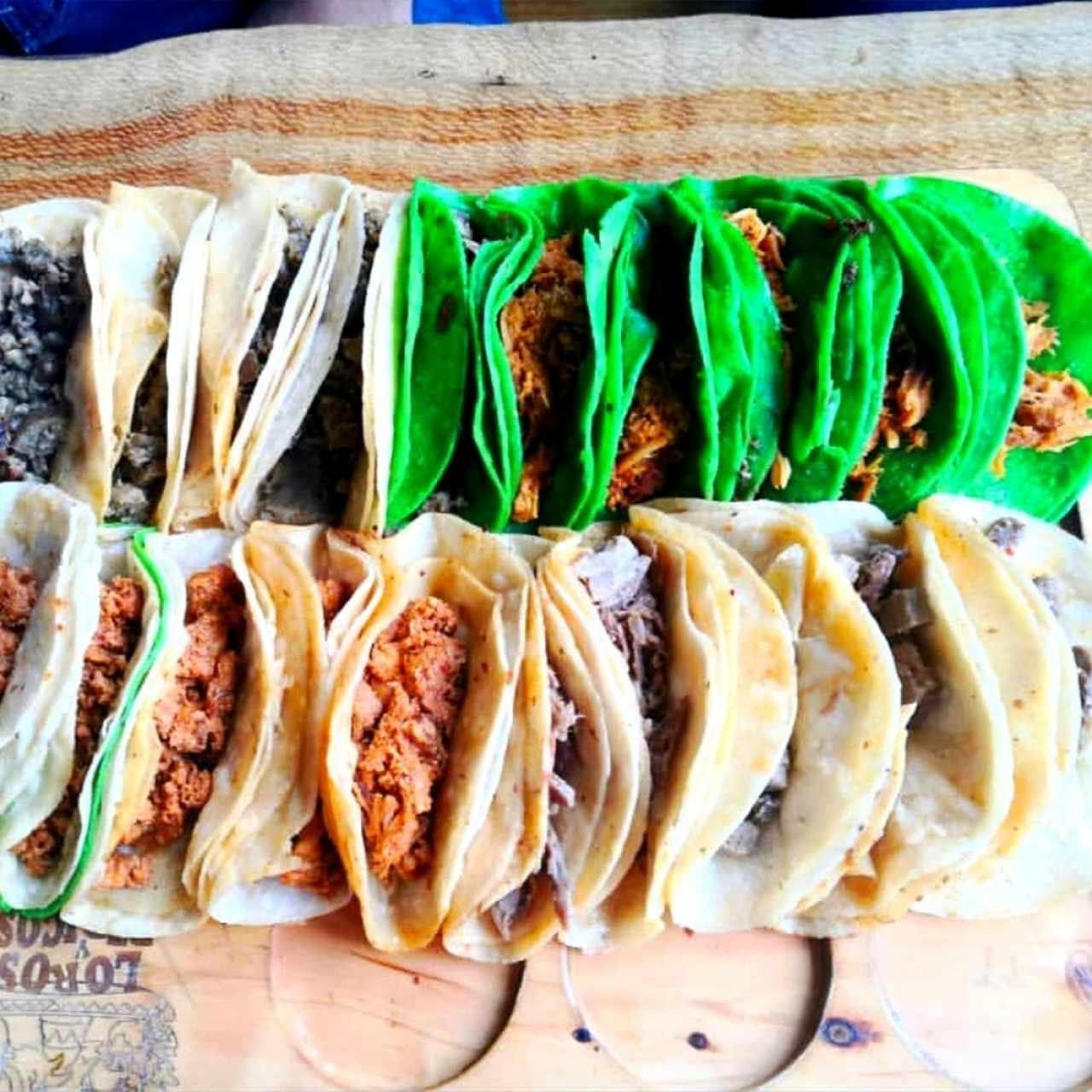 Loros y Pericos