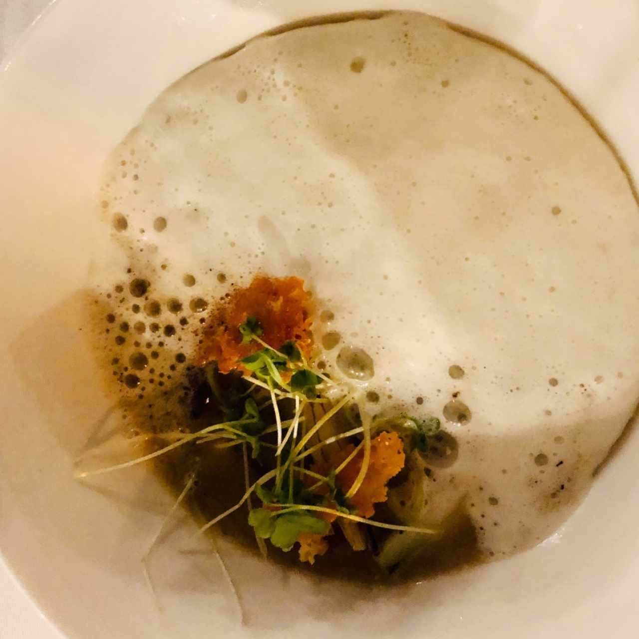 sopa de cebolla 