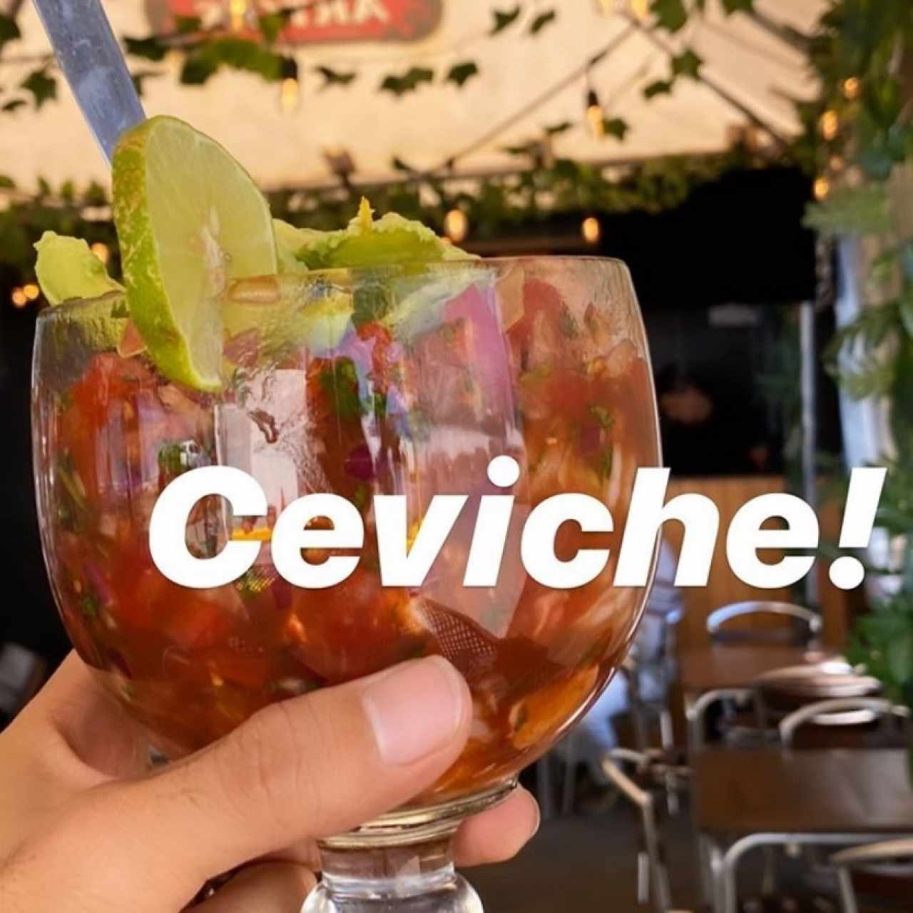 Ceviche de camarón o mixto