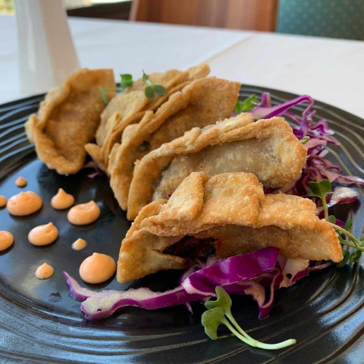 Entradas - Gyoza de pato