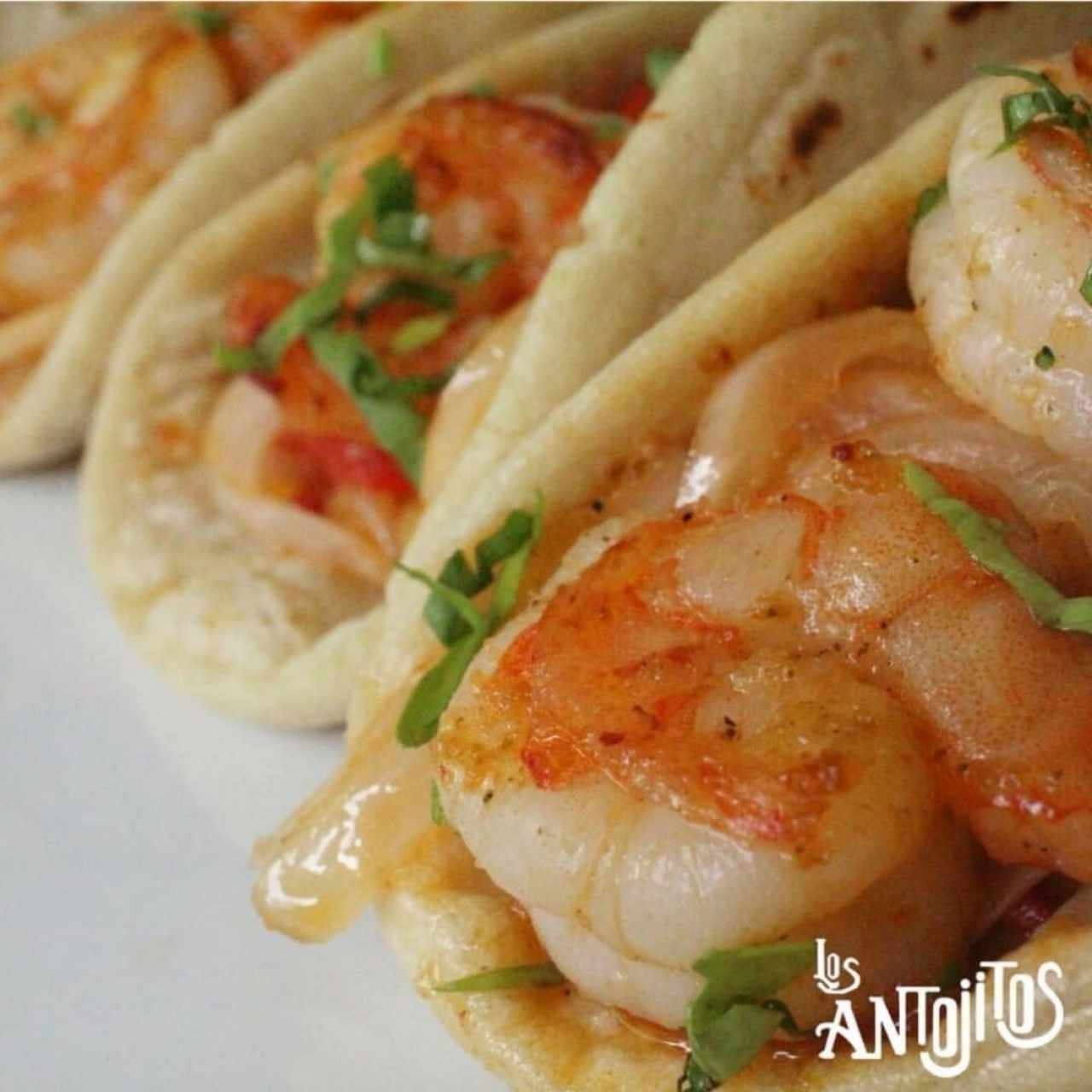 Taquizas - Tacos de camarones (3)