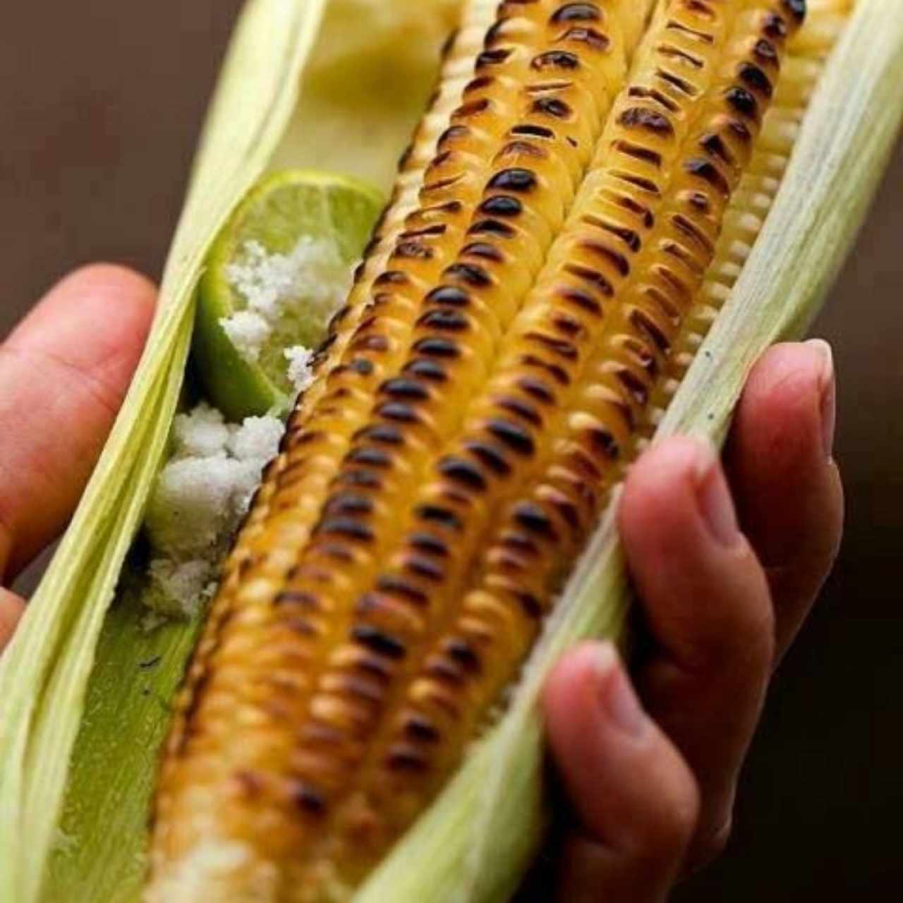 Elote loco o asado