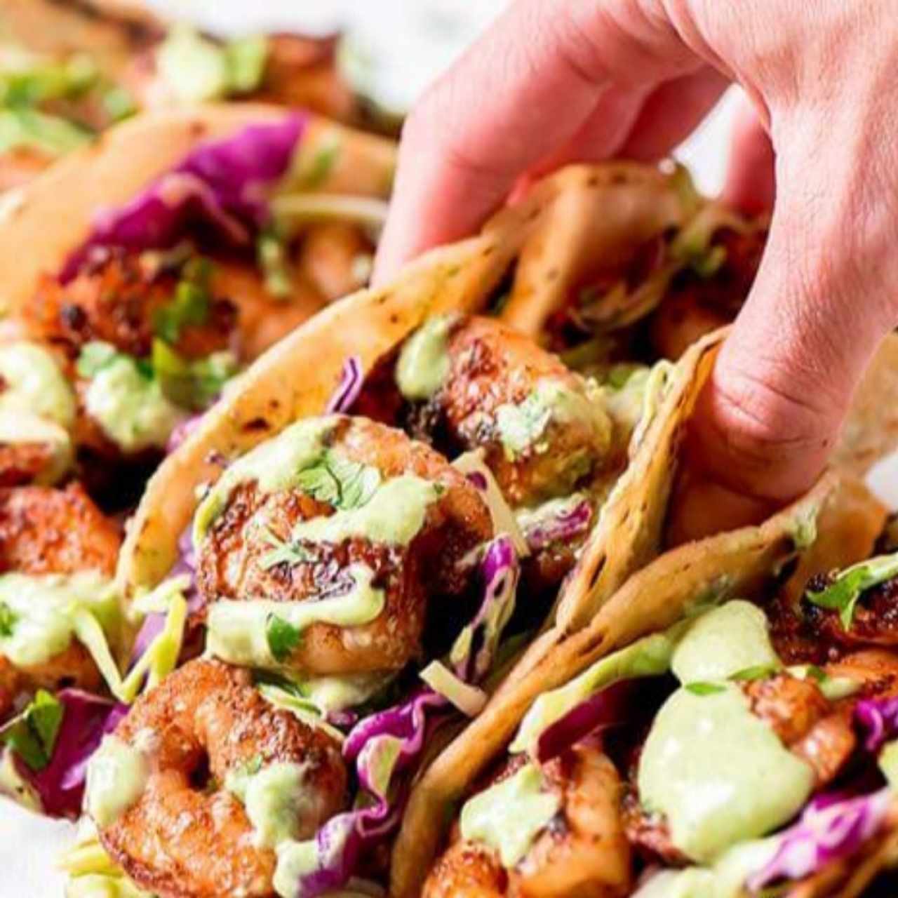 Taquizas - Tacos de camarones (3)
