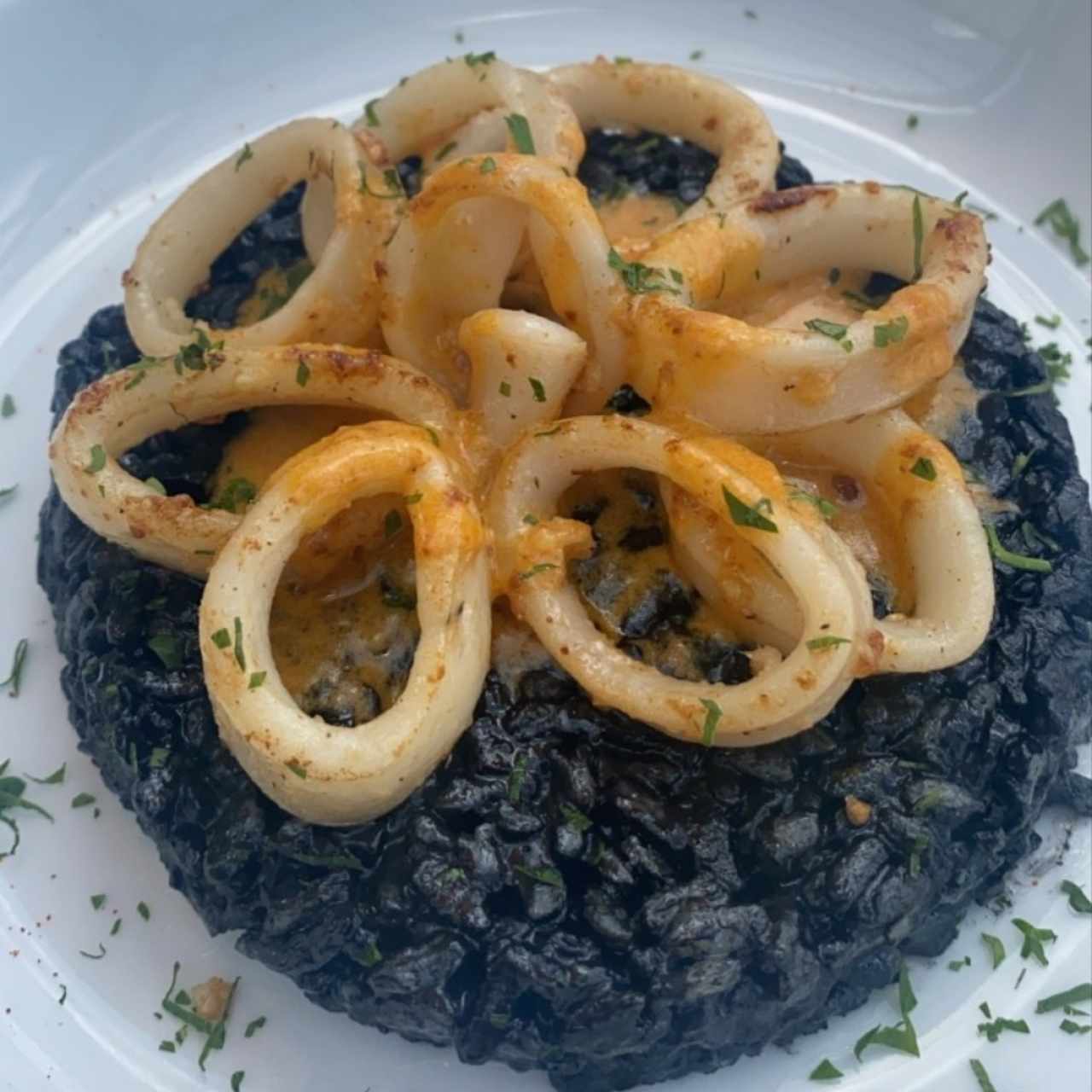 risoto negro 