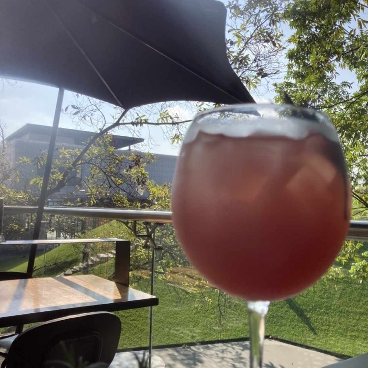 Bebida de romero y sandia 