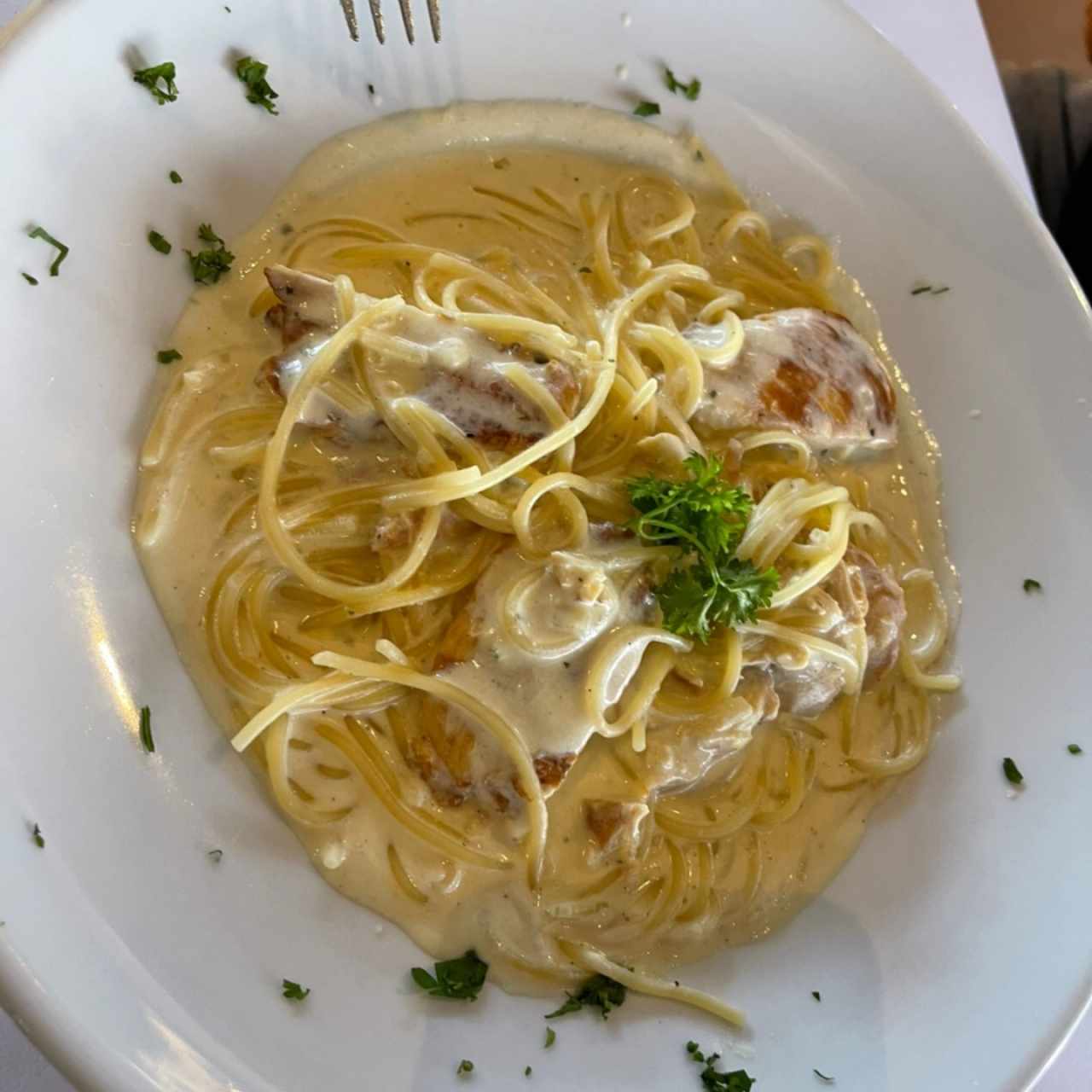 Pasta Tradizionale - Alfredo con Pollo